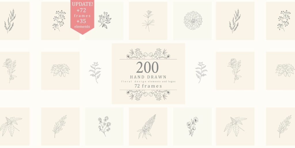 Harmonizing Simplicity and Elegance: A Dive into Hand Drawn Floral Elements Frames - Image 1