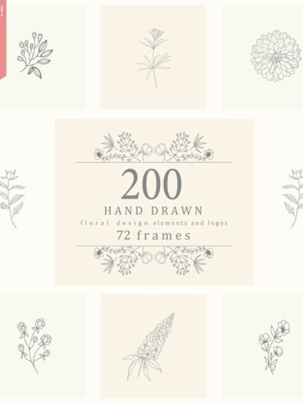Harmonizing Simplicity and Elegance: A Dive into Hand Drawn Floral Elements Frames - Image 10