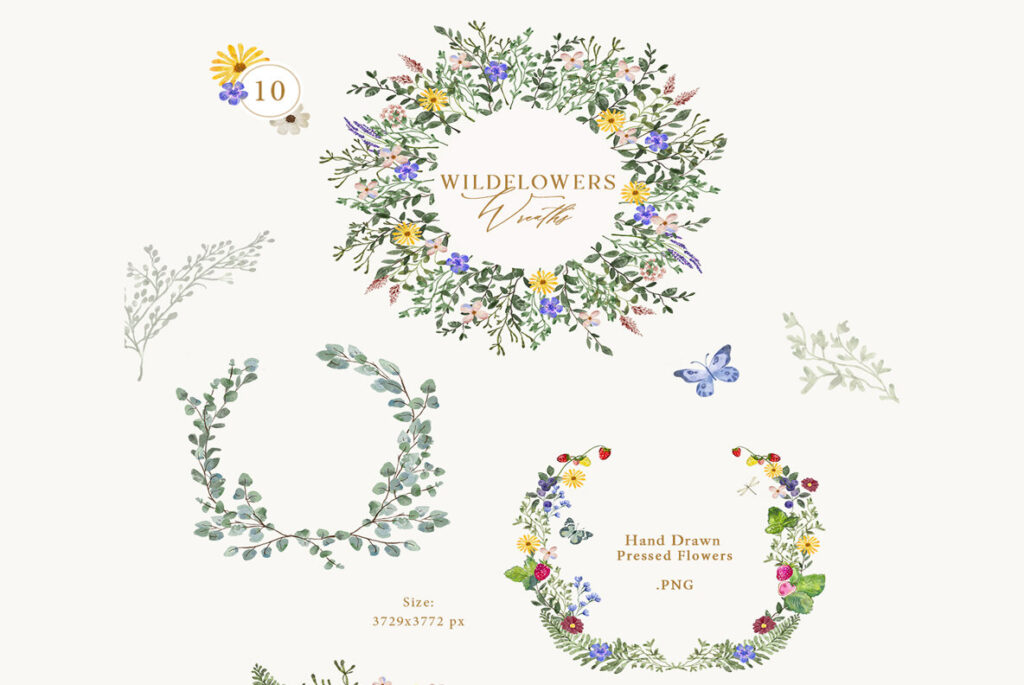 E10917_05.jpg E10917_05.jpg