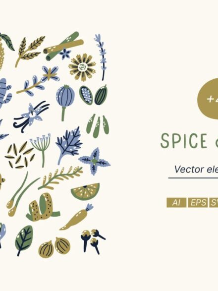 Savoring Artistry: The Spice and Herb Vector Sets Refreshing Take on Digital Design - Image 1