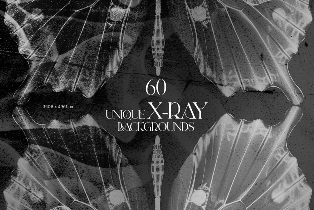 E11102_02.jpg E11102_02.jpg