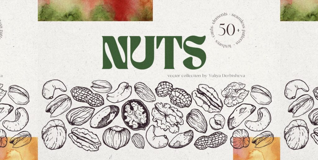 Crafting Authenticity: The Impact of Nuts Illustrations in Digital Design - Image 1
