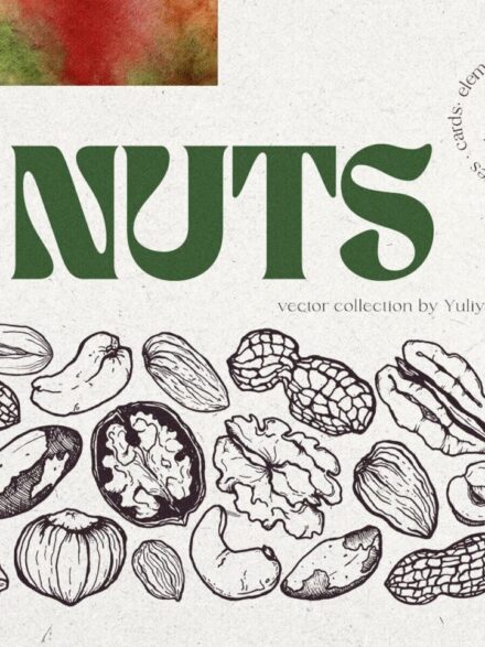 Crafting Authenticity: The Impact of Nuts Illustrations in Digital Design - Image 5