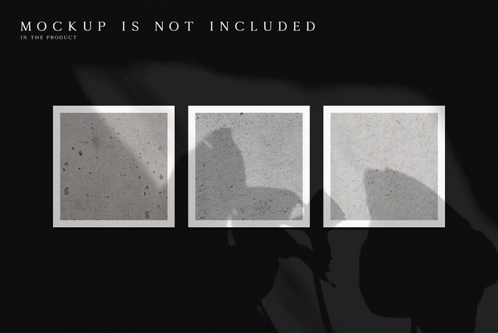 E11106_03.jpg E11106_03.jpg