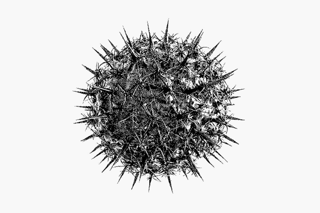 E11116_04.jpg E11116_04.jpg