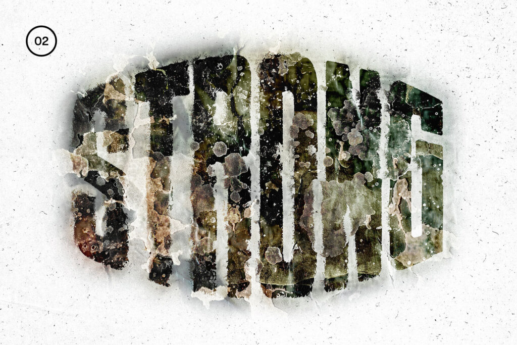 E11251_02.jpg E11251_02.jpg