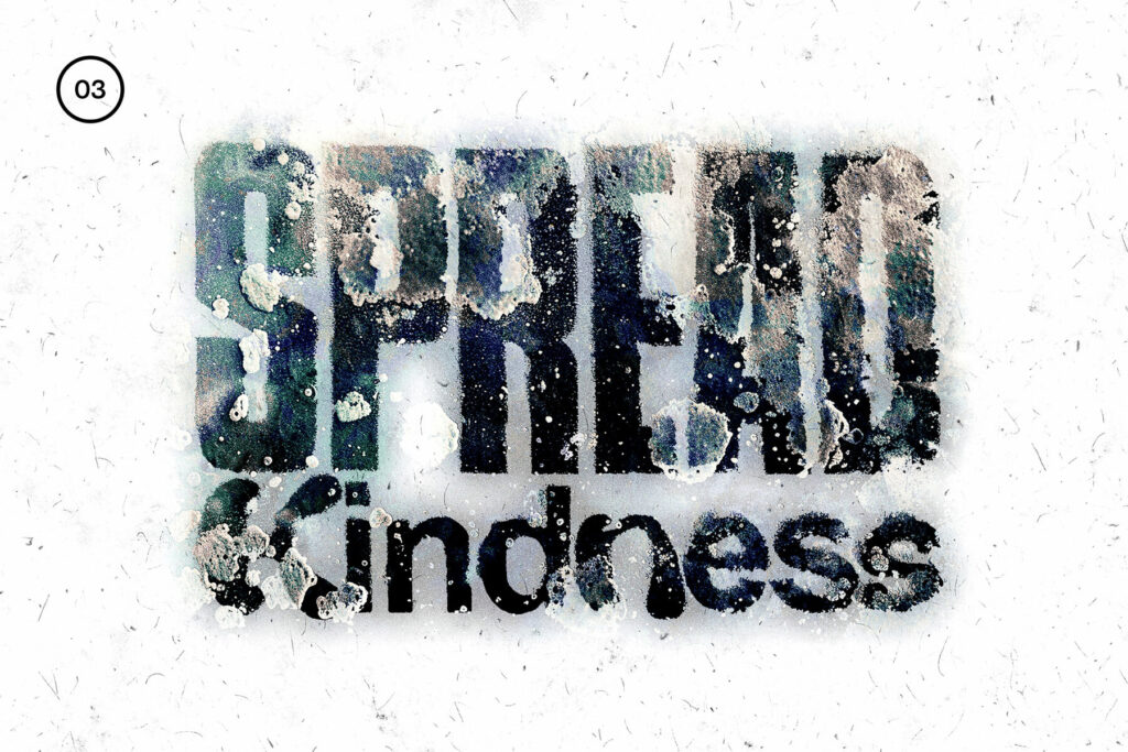 E11251_03.jpg E11251_03.jpg