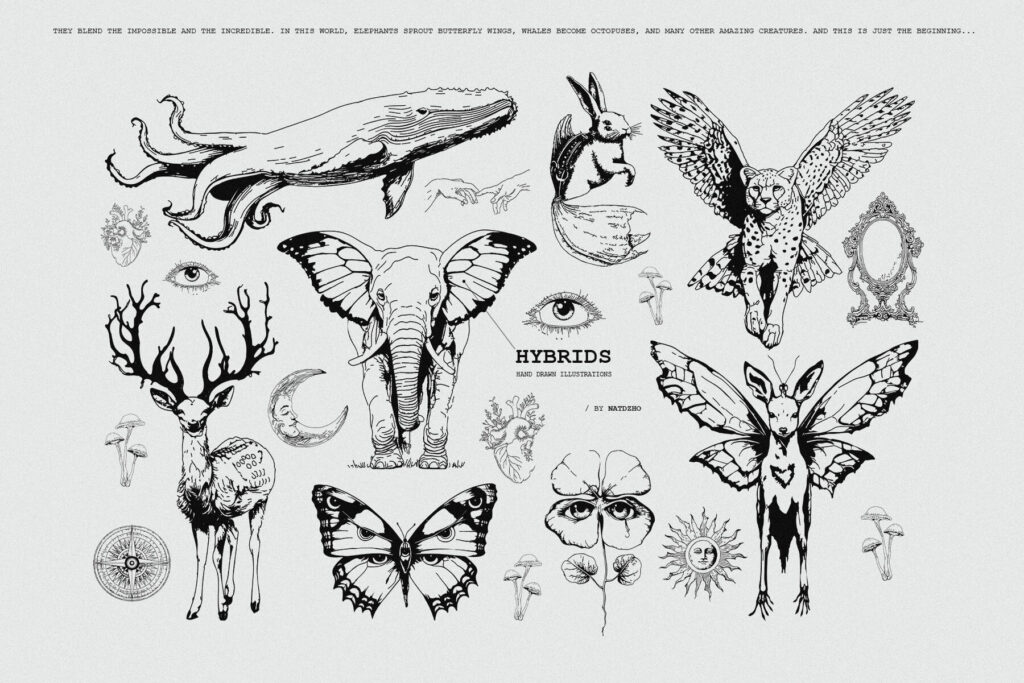 E11270_04.jpg E11270_04.jpg