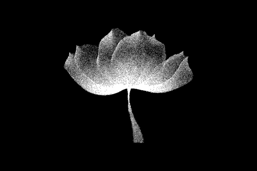 E11375_05.jpg E11375_05.jpg