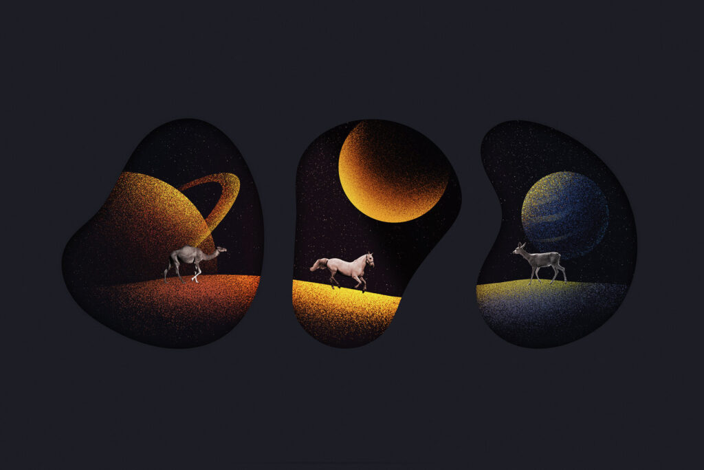 E11379_04.jpg E11379_04.jpg