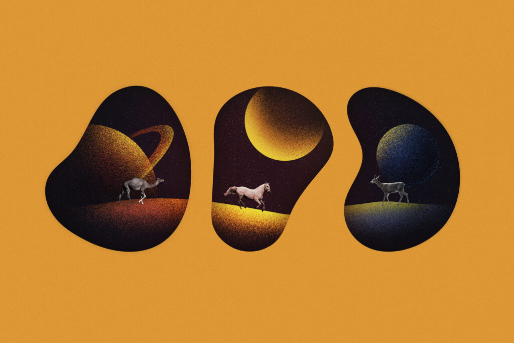 E11427_05.jpg E11427_05.jpg