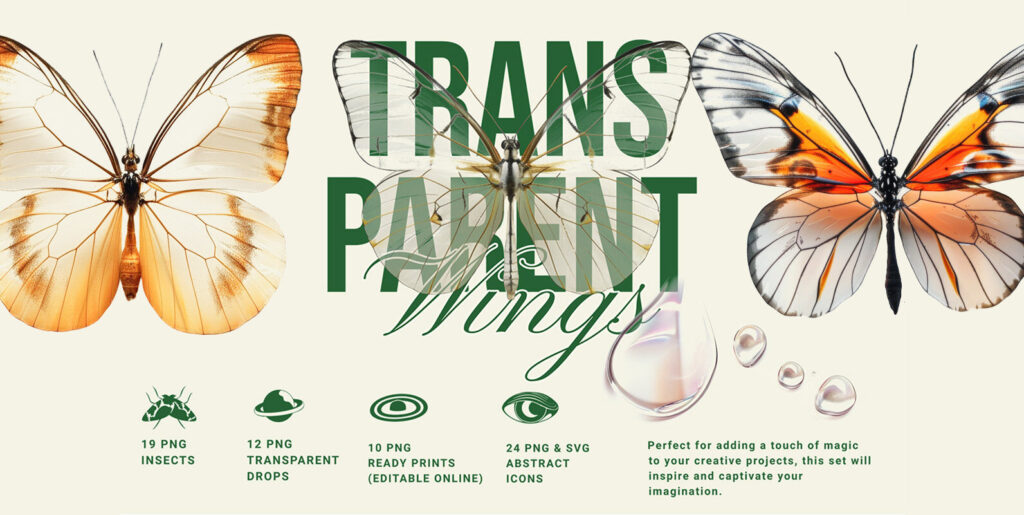 Transparent Wings Contemporary Art Graphics - Image 1