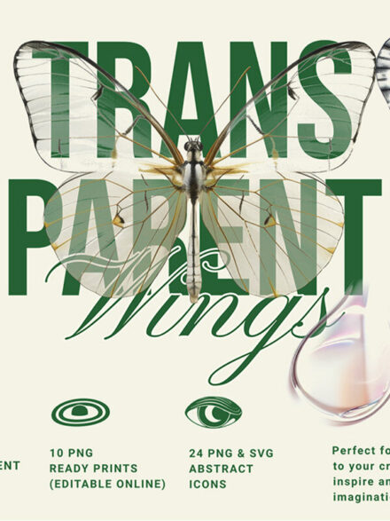 Transparent Wings Contemporary Art Graphics - Image 1