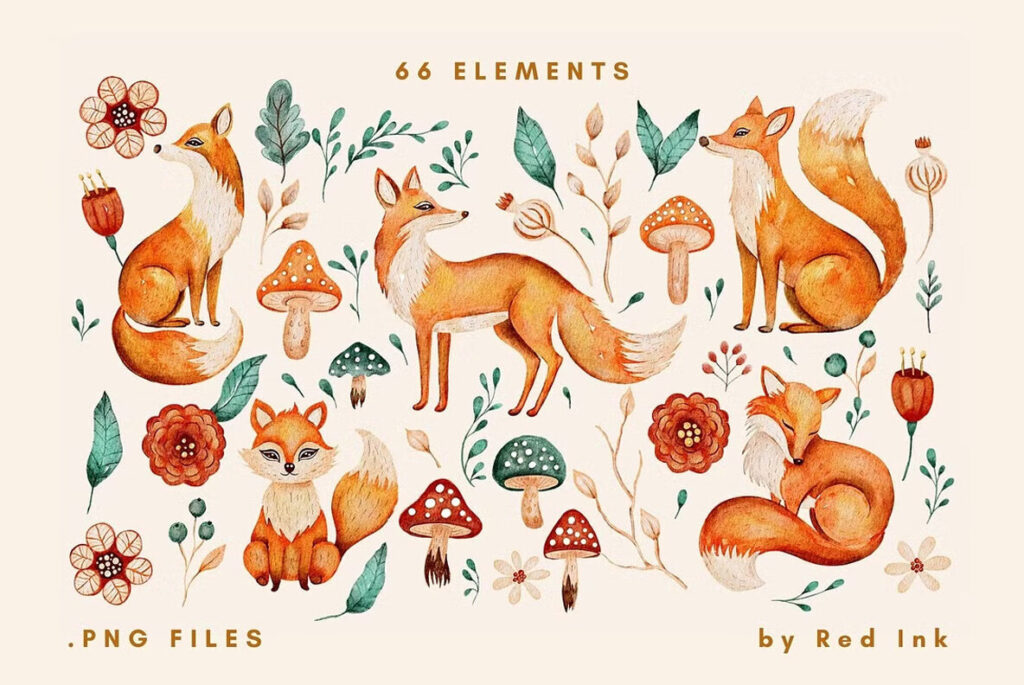 E11658_02.jpg E11658_02.jpg