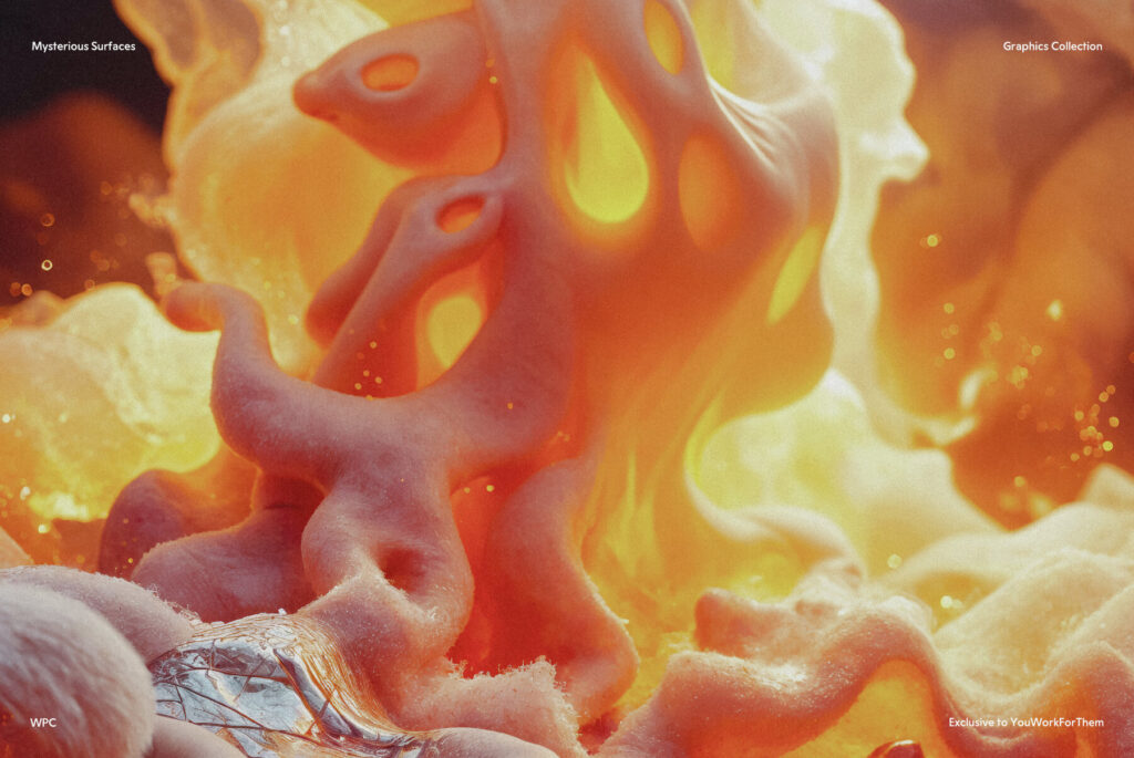 E11695_05.jpg E11695_05.jpg