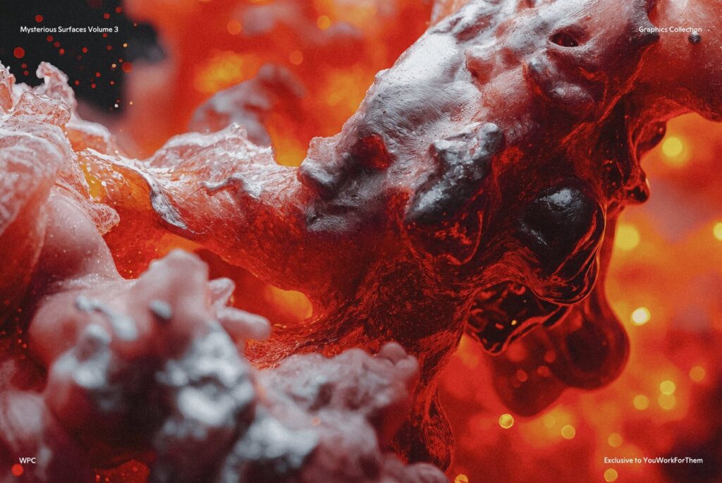 E11767_02.jpg E11767_02.jpg