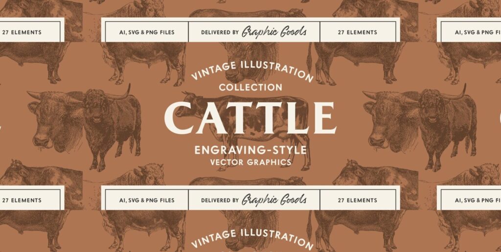 Cattle Vintage Illustration Set Graphics - Image 1