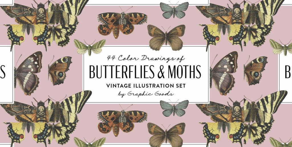 Butterflies and Moths Vintage Illustrations Graphics - Image 1