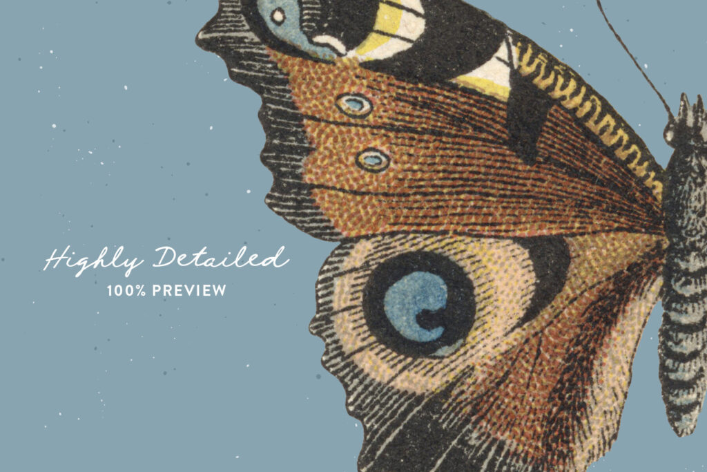 E12264_02.jpg E12264_02.jpg