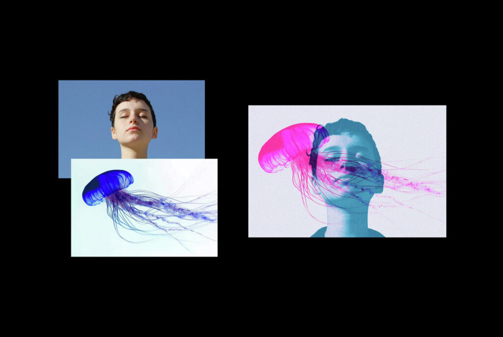 E12307_05.jpg E12307_05.jpg