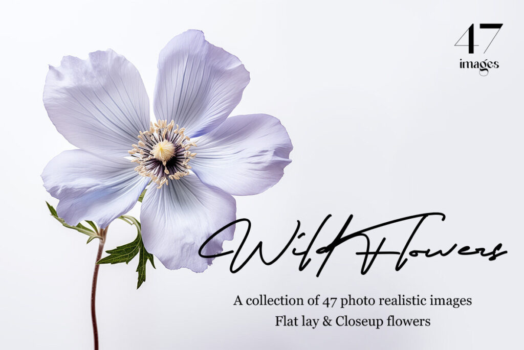 E12507_03.jpg E12507_03.jpg