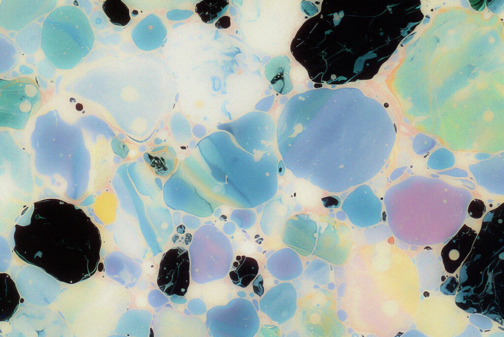 E12632_03.jpg E12632_03.jpg