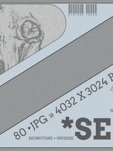 Serene Vol.2 Graphics - Image 5