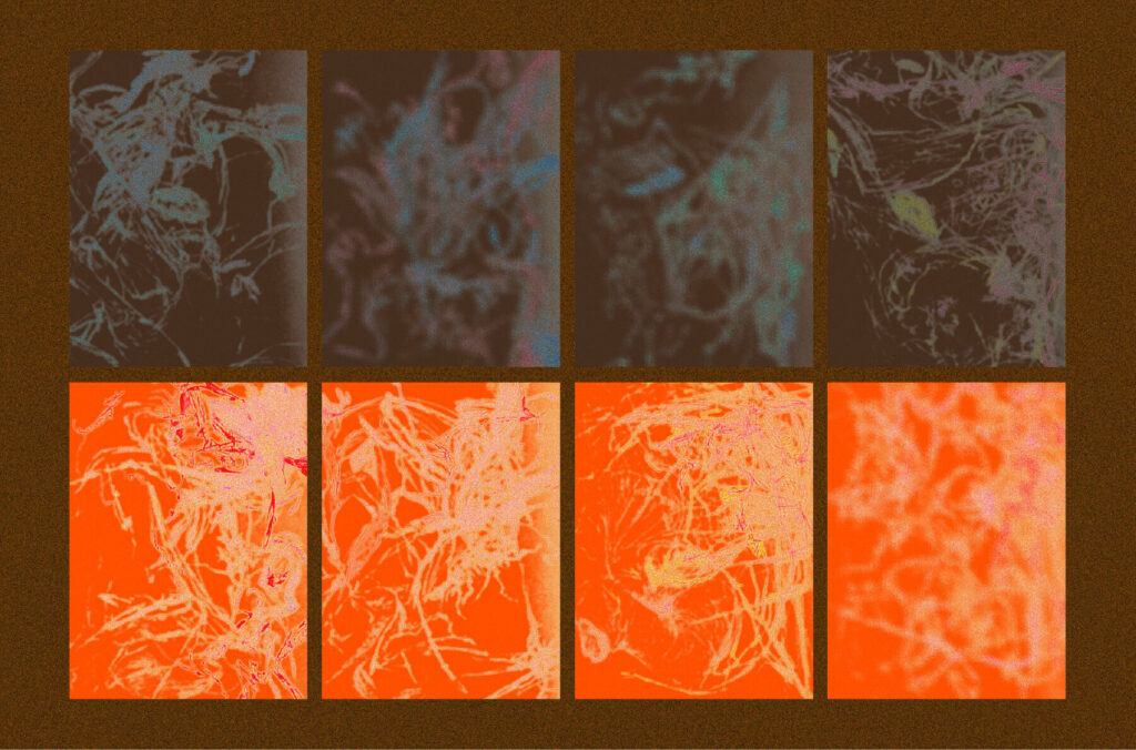 E12954_02.jpg E12954_02.jpg