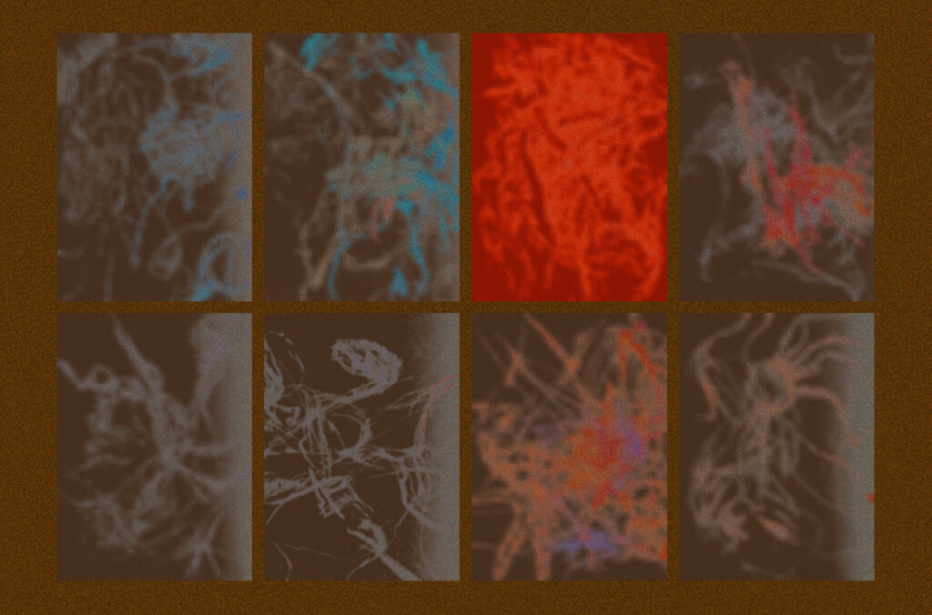 E12954_04.jpg E12954_04.jpg