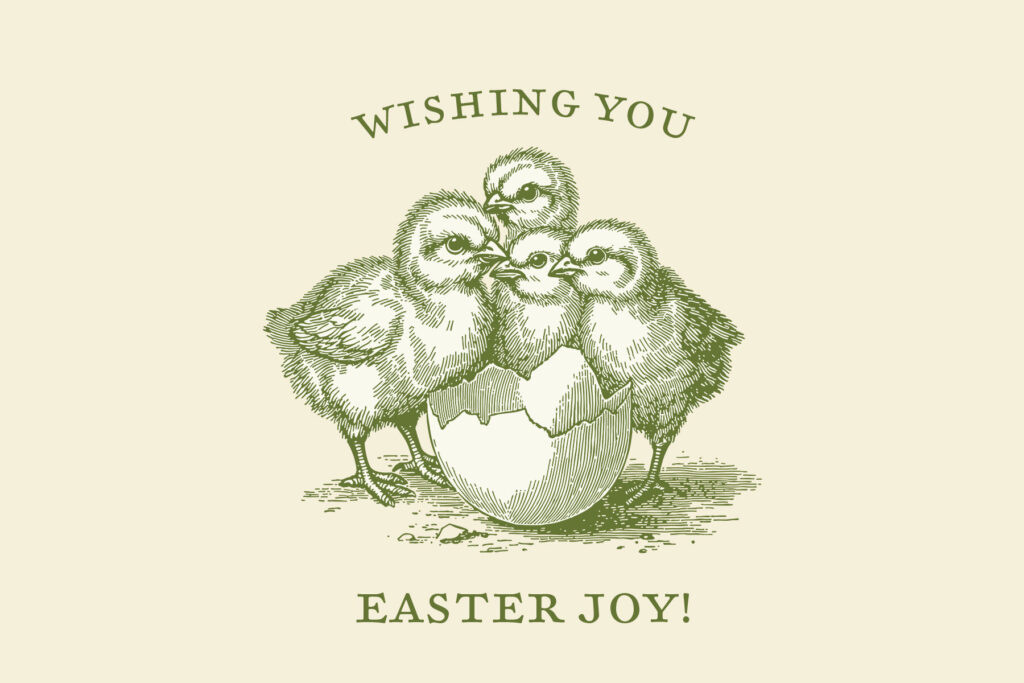 E13423_03.jpg E13423_03.jpg