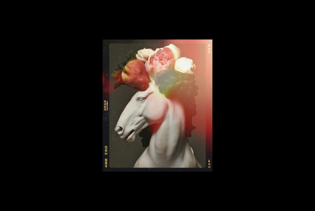 E13562_05.jpg E13562_05.jpg