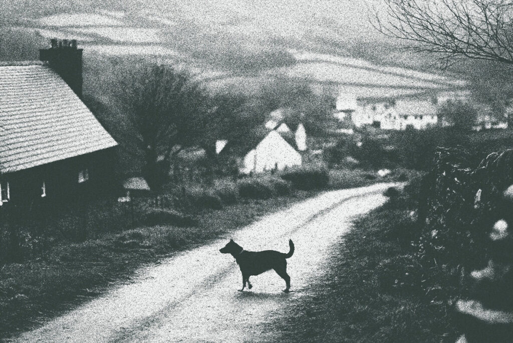 E13820_01.jpg E13820_01.jpg