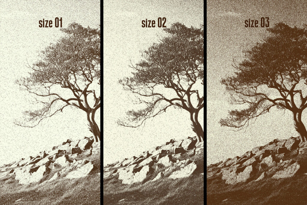 E13820_02.jpg E13820_02.jpg