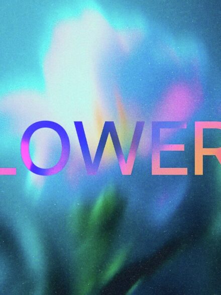Abstract Blurred Flowers Backgrounds Pack Graphics - Image 1