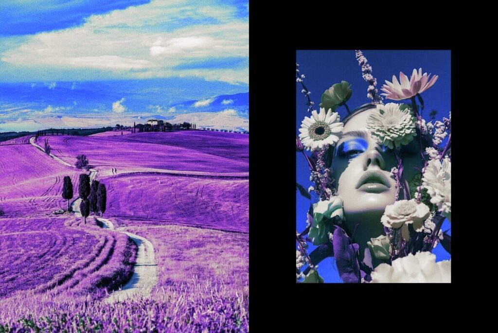 E14199_01.jpg E14199_01.jpg