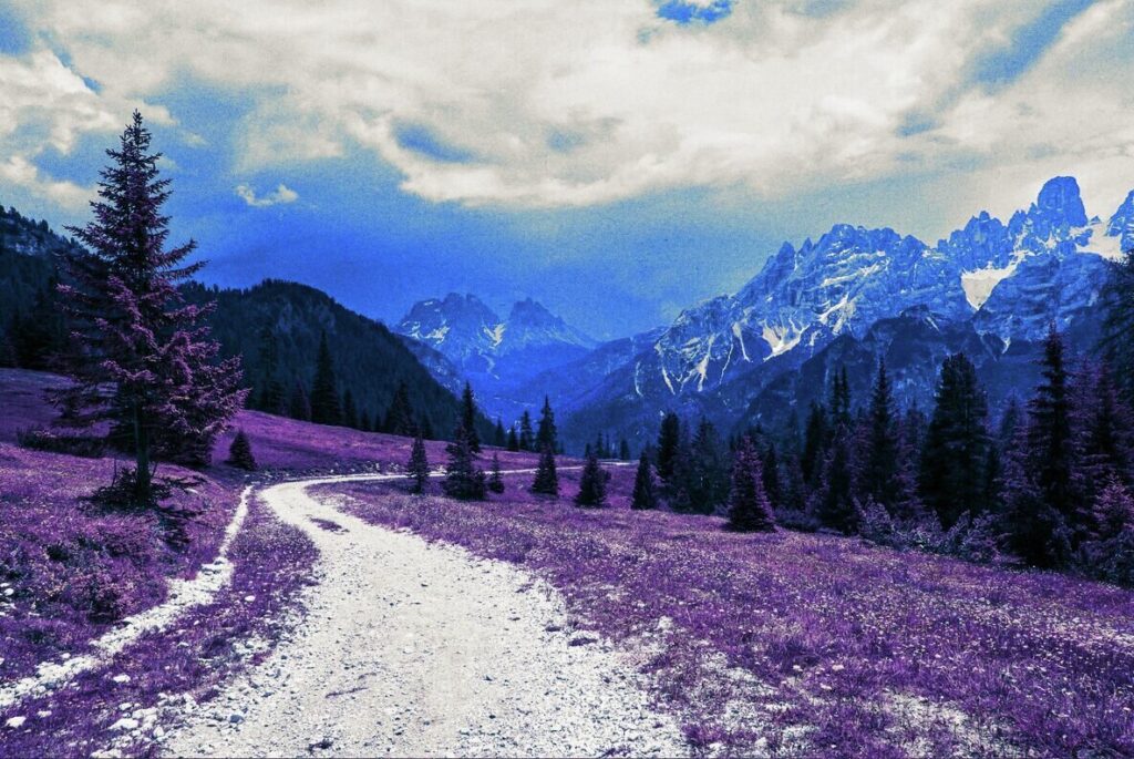 E14199_02.jpg E14199_02.jpg