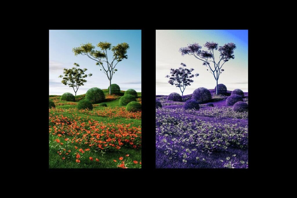 E14199_03.jpg E14199_03.jpg