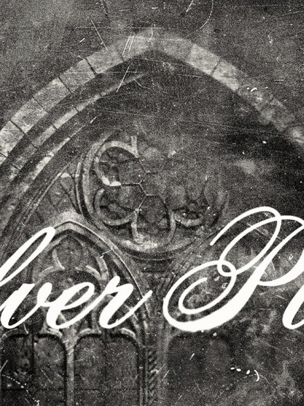 Silver Plate Photo Effect Extra - Image 10