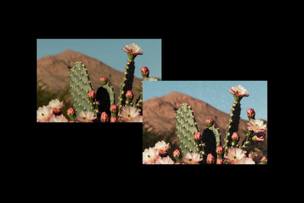 E15434_04.jpg E15434_04.jpg